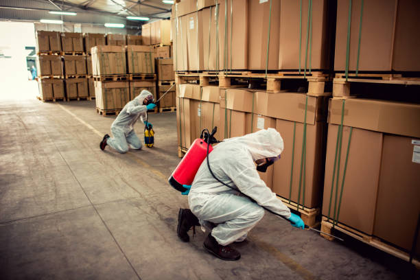 Best Mosquito Control Services  in Tennille, GA