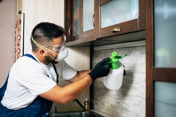 Best Pest Removal Services  in Tennille, GA