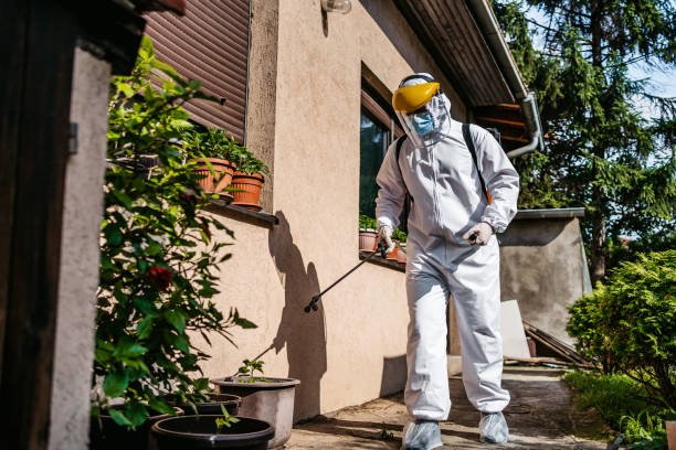 Best Pest Control Near Me in Tennille, GA