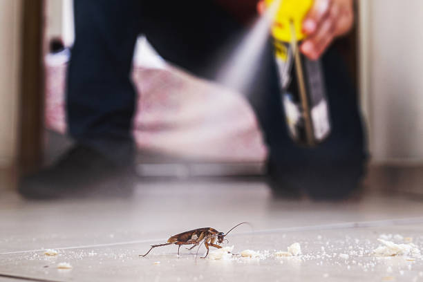 Best Residential Pest Control  in Tennille, GA